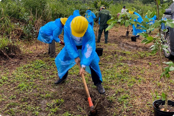 tree planting
