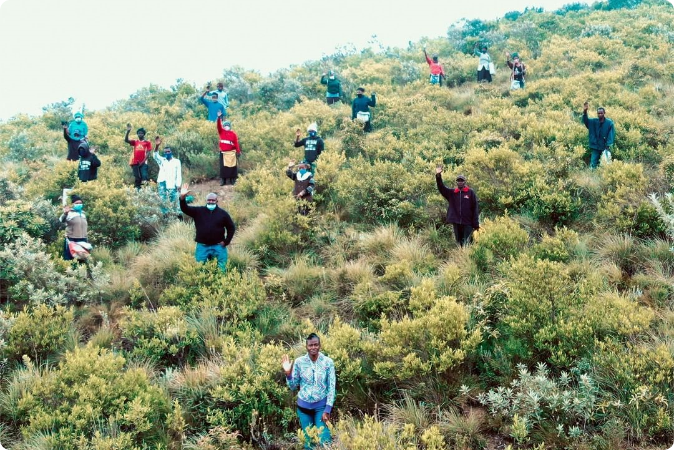 tree planting